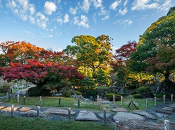 二之丸庭園と紅葉1の画像