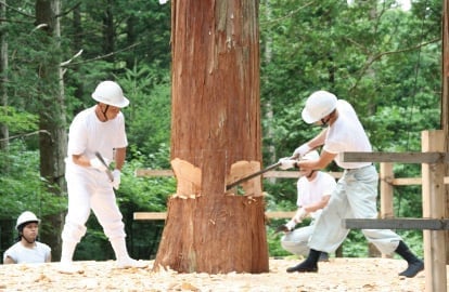 木曽ヒノキ斧入れ行事の画像