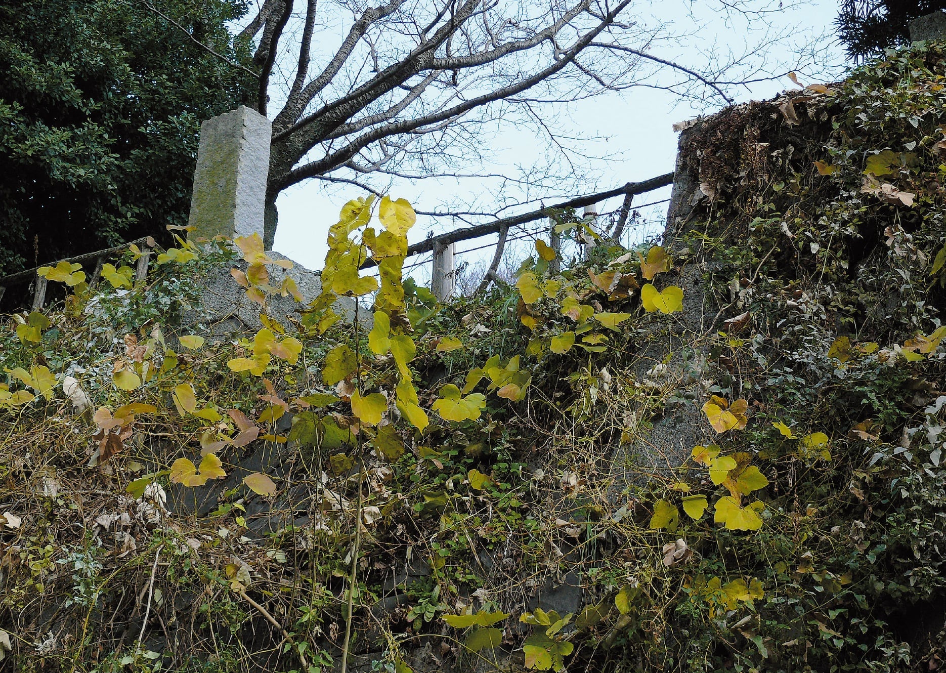 埋御門跡の画像