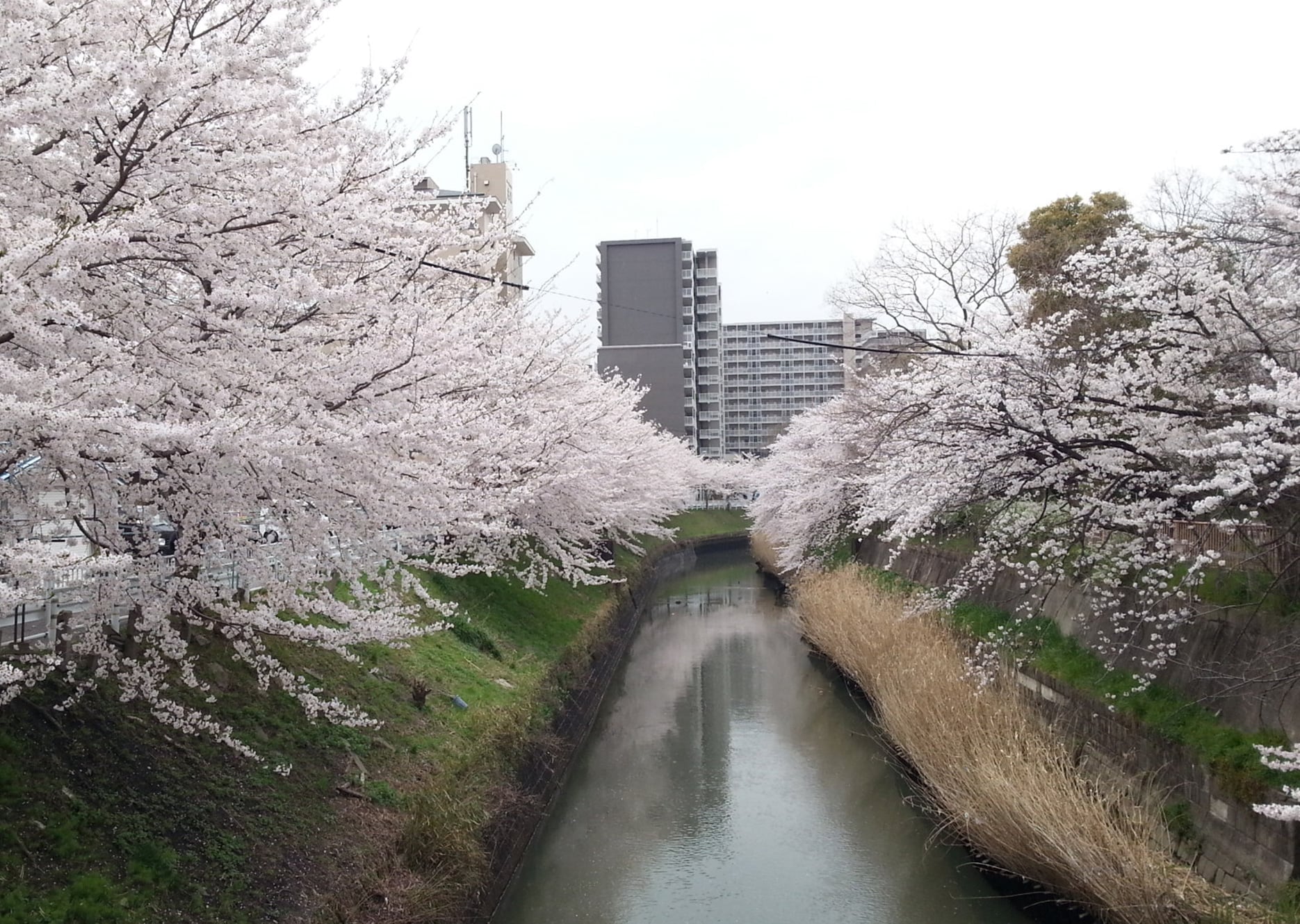 堀川の画像