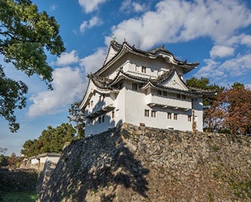 東南隅櫓・石垣の画像