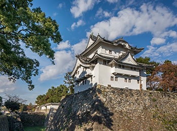 東南隅櫓の画像