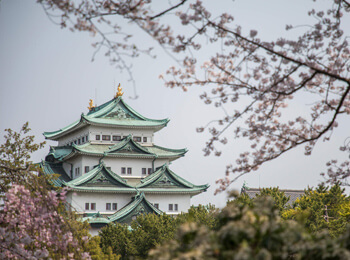 天守閣と桜1の画像