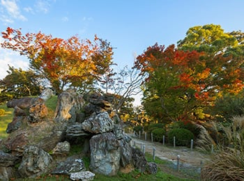 二之丸庭園と紅葉2の画像