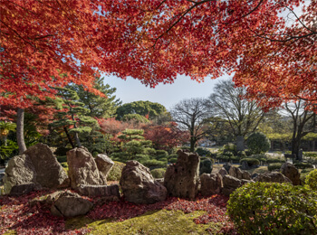 二之丸庭園と紅葉3の画像