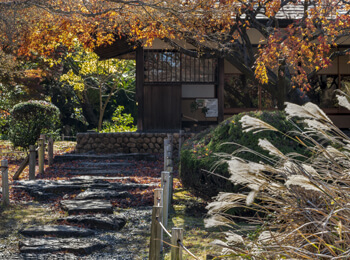 二之丸庭園と紅葉4の画像