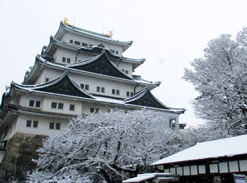 天守閣と雪の画像