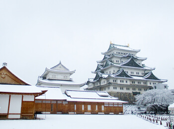 天守閣と本丸御殿と雪1の画像