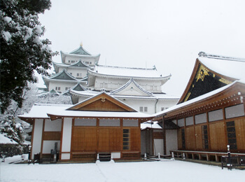 天守閣と本丸御殿と雪2の画像