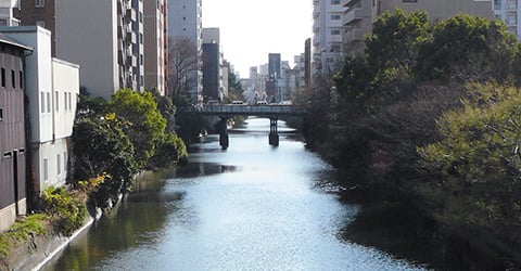 城外の発展の画像