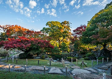 名勝二之丸庭園の保存整備の画像