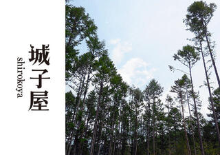 名古屋城と木のはなし 〜城下町の礎となった森と山守〜の画像