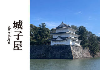 名古屋城の文化財建造物を守るの画像