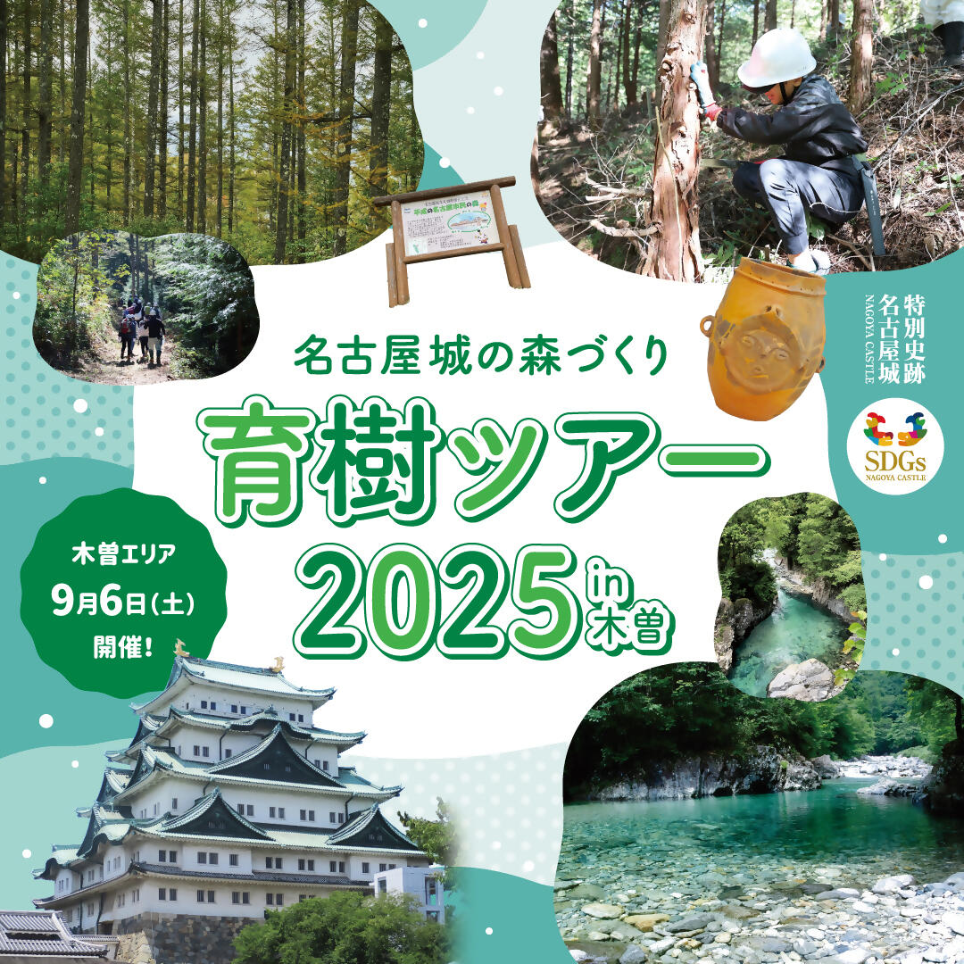 名古屋城の森づくり 育樹ツアー2025 in木曽の画像