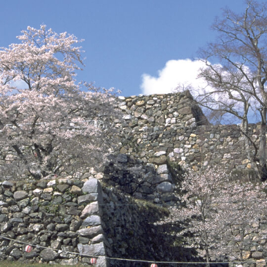 田丸城の石垣