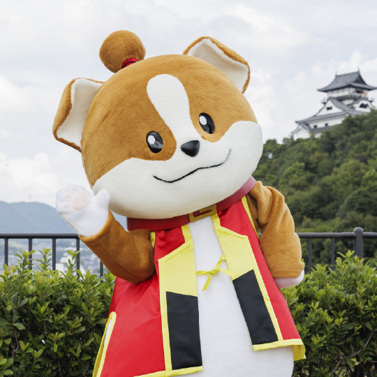 わん丸君の写真