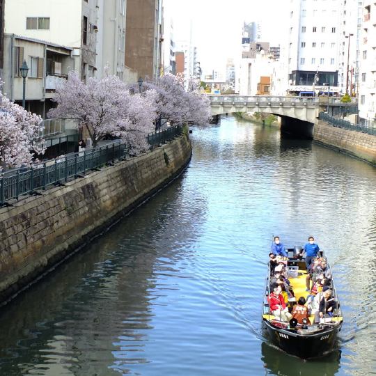 なごや堀川クルーズの写真