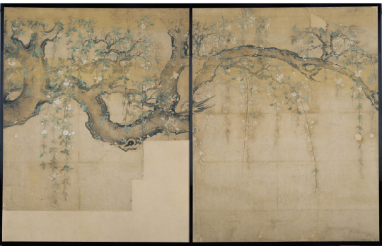 重要文化財 名古屋城本丸御殿障壁画「枝垂桜図」の写真