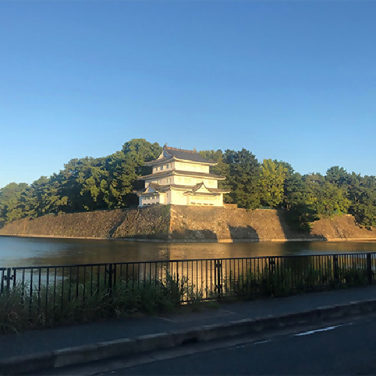 名古屋城外縁部の写真