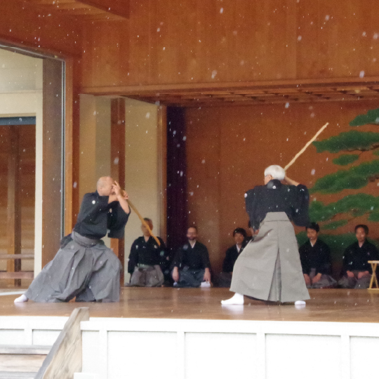 柳生新陰流兵法の写真