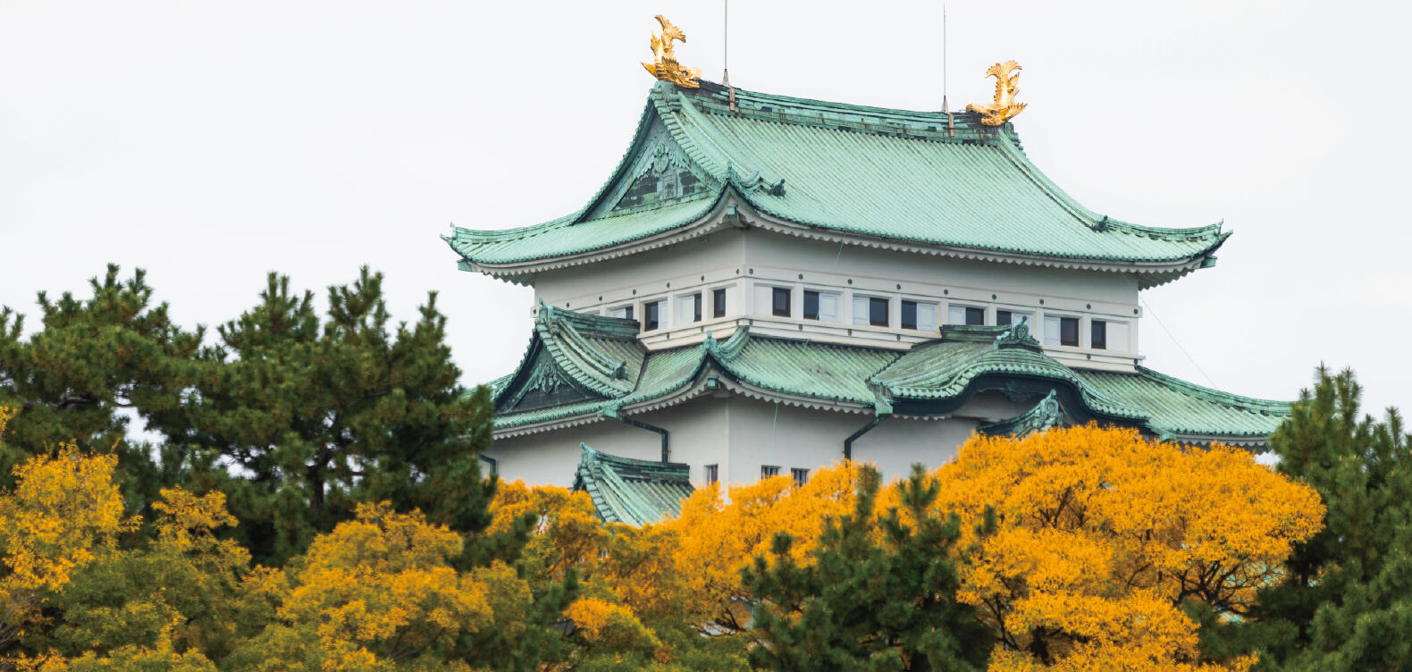 名古屋城 秋まつり