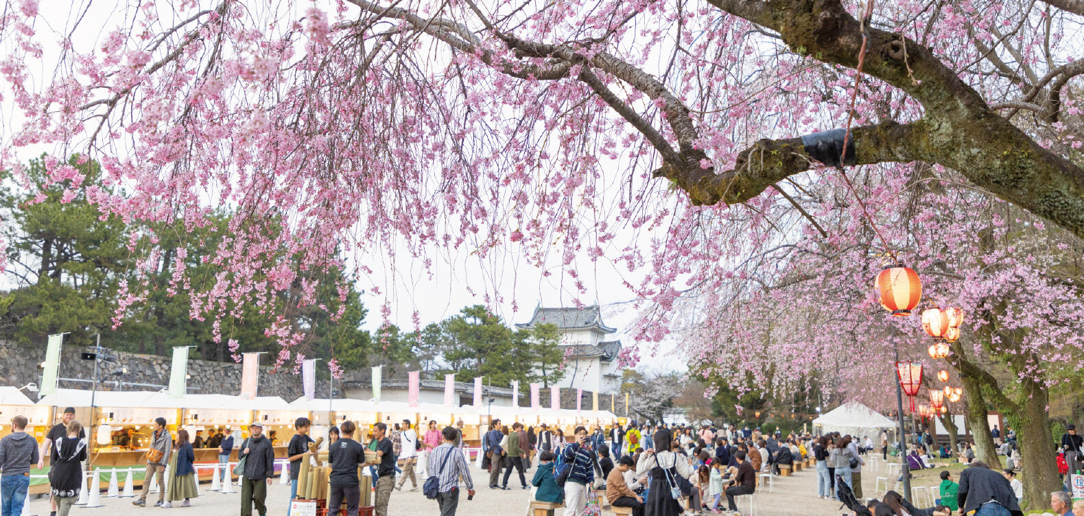名古屋城 春まつり