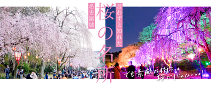  言わずと知れた桜の名所 名古屋城 でも素敵な樹木は桜だけじゃないのよ!