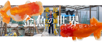 尾張藩士も愛した！？金魚の世界 らんちゅうに魅せられて