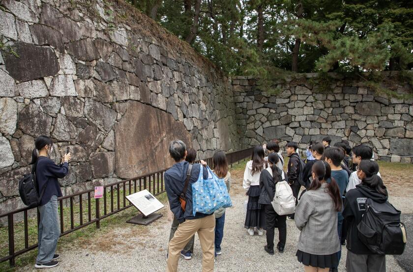 スクリーンショット 2026-03-31 10.26.12.jpg