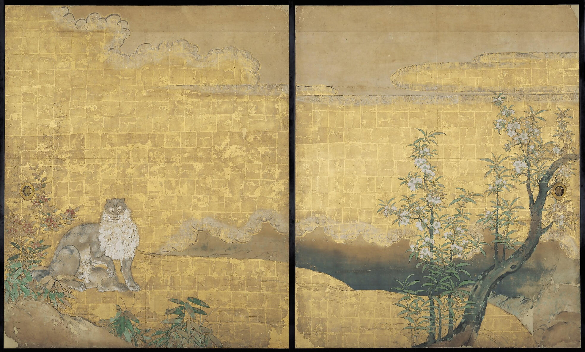 麝香猫図 .jpg