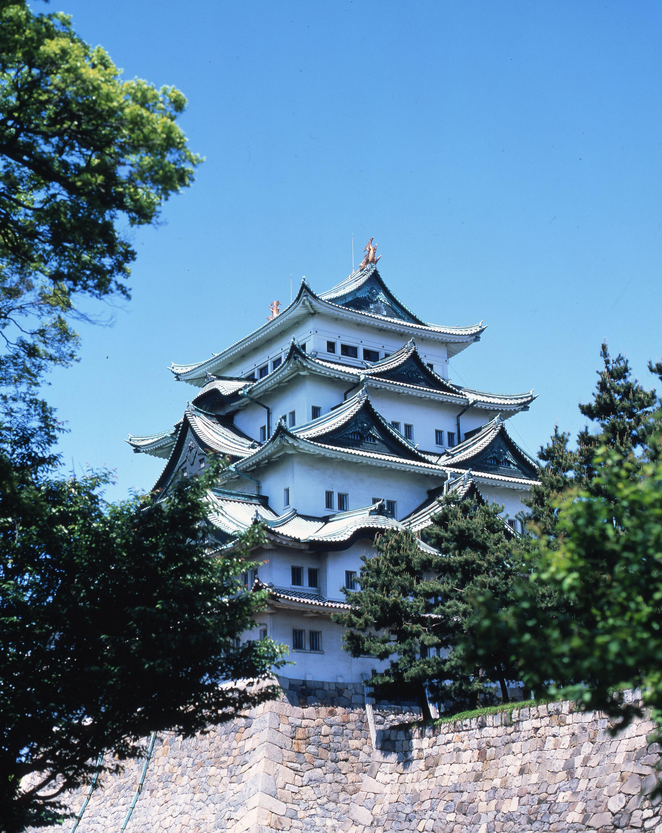 tenshu3_無害化済.jpg
